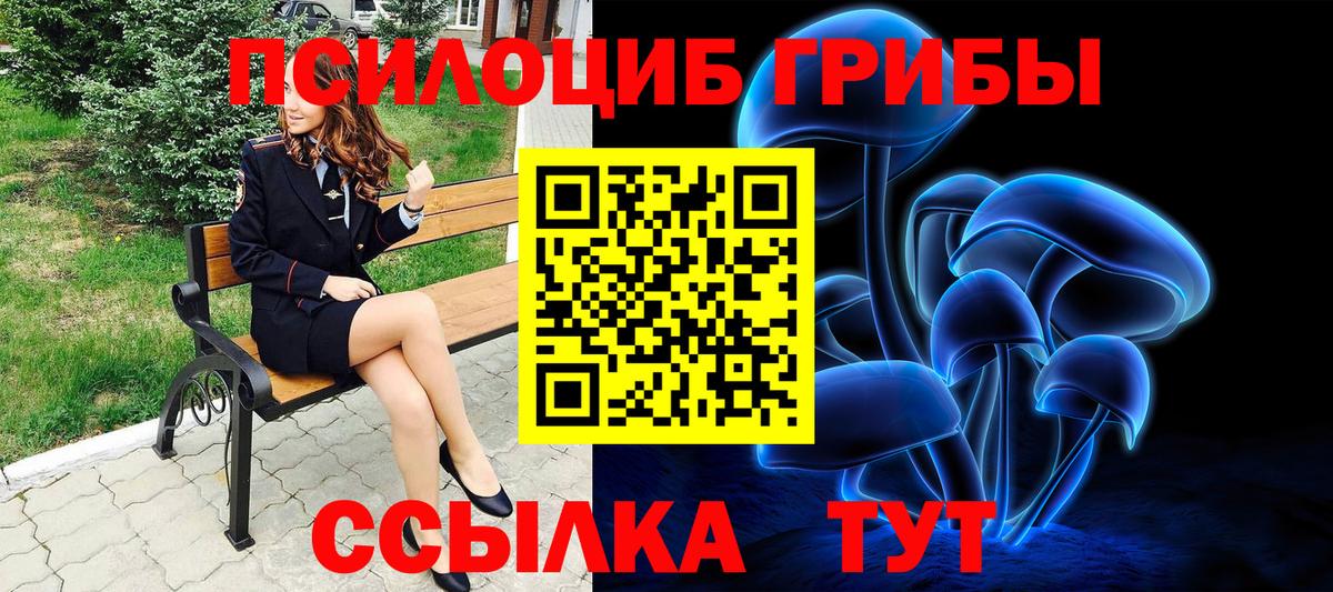 Галлюциногенные грибы Psilocybine cubensis  Вход с VPN  Заречный 