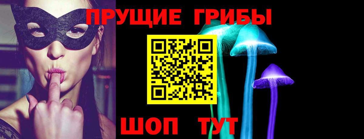 Псилоцибиновые грибы Cubensis Заречный